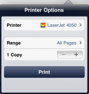 PrintOptions